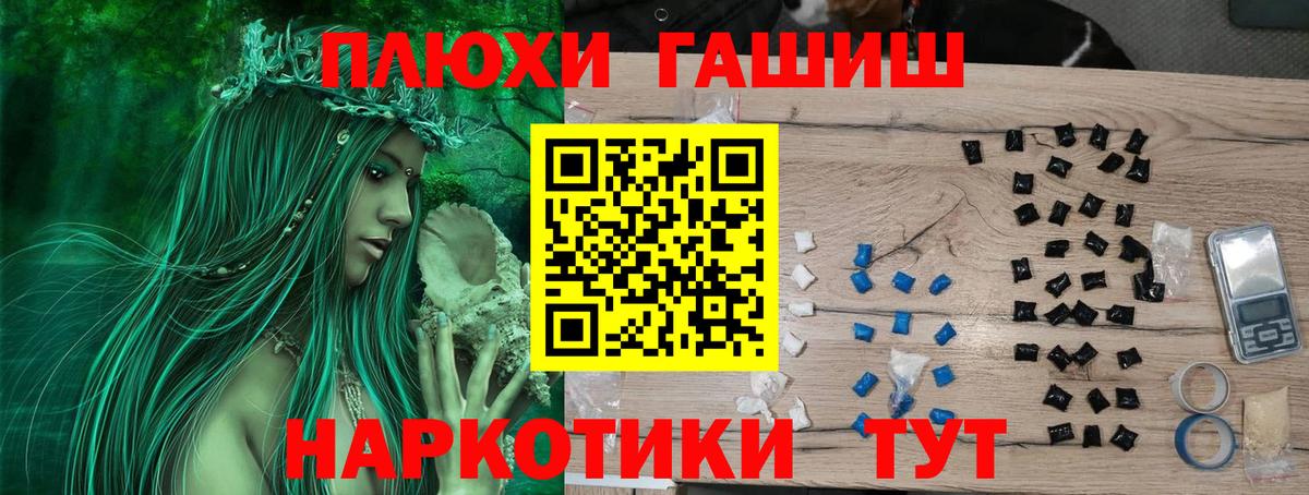 ГАШ Premium Черняховск