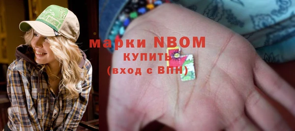 ГАЛЛЮЦИНОГЕННЫЕ ГРИБЫ Костерёво