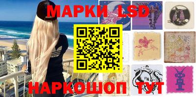 шишки Бийск