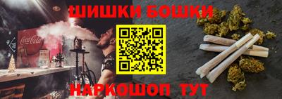 шишки Бийск