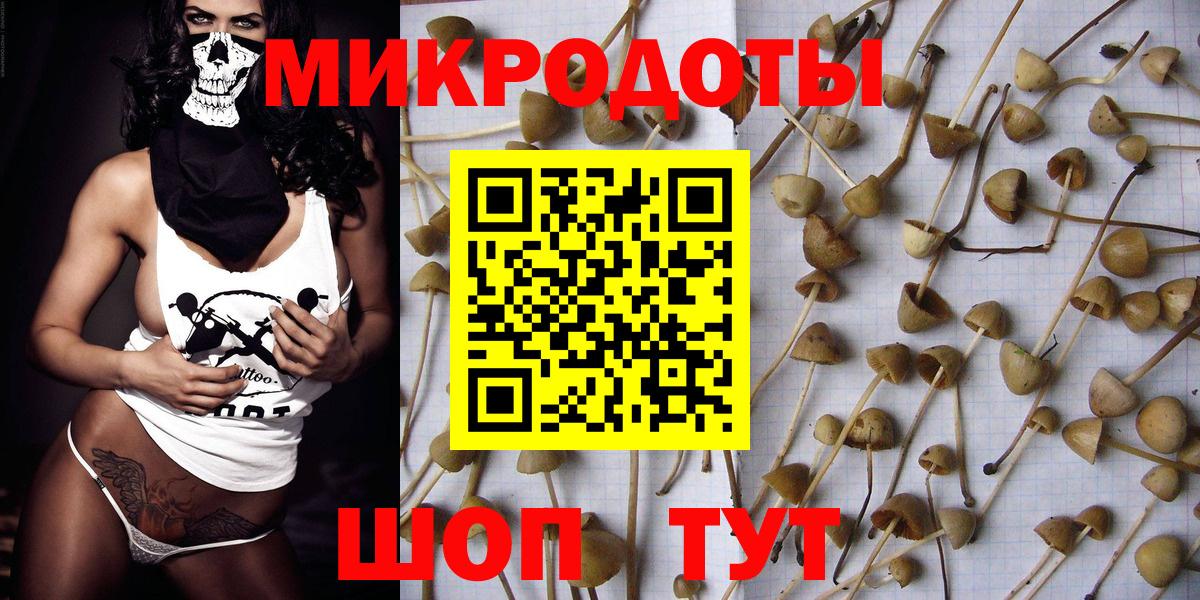 Галлюциногенные грибы MAGIC MUSHROOMS  Вход с VPN  Черняховск 