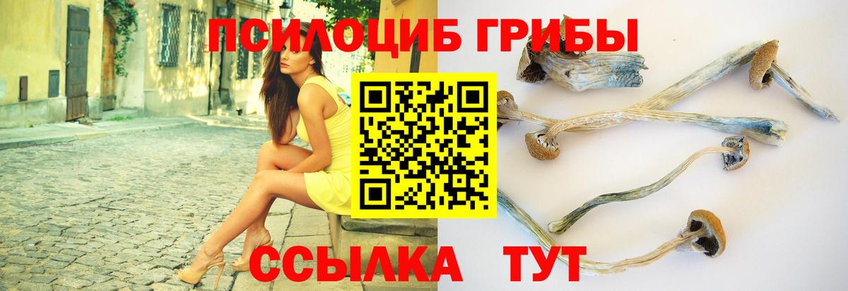 Галлюциногенные грибы Magic Shrooms  Черняховск 