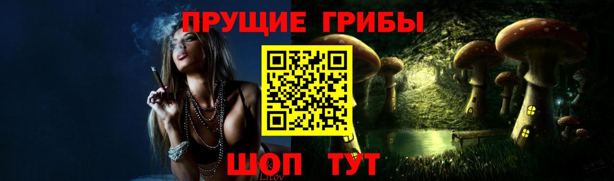 Псилоцибиновые грибы MAGIC MUSHROOMS Черняховск